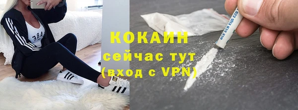 первитин Богданович