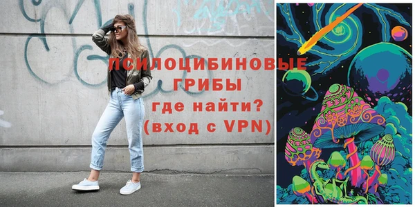 первитин Богданович