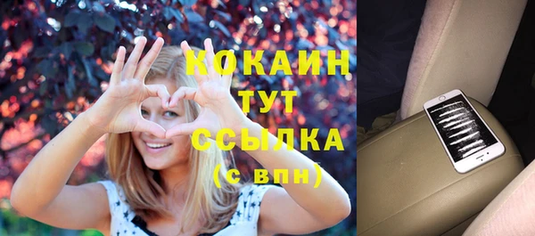 первитин Богданович