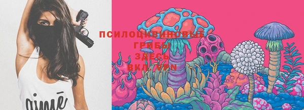 ПСИЛОЦИБИНОВЫЕ ГРИБЫ Богородск