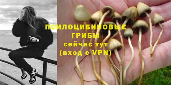 первитин Богданович